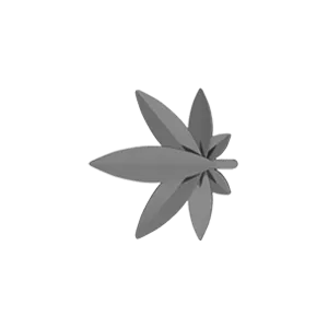 SG Fine Charm Necklaces Slider Marijuana Leaf Charm